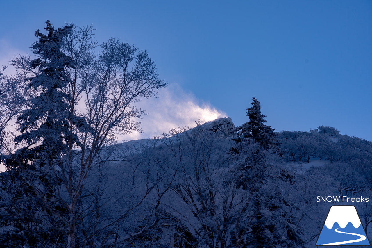 大雪山層雲峡・黒岳ロープウェイスキー場｜雪質も、景色も。やはり黒岳は別格。パウダースノーが舞う、北海道最高所にあるスキー場が営業開始！